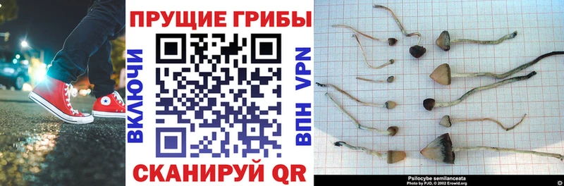 как найти закладки  Горнозаводск  Псилоцибиновые грибы Magic Shrooms 